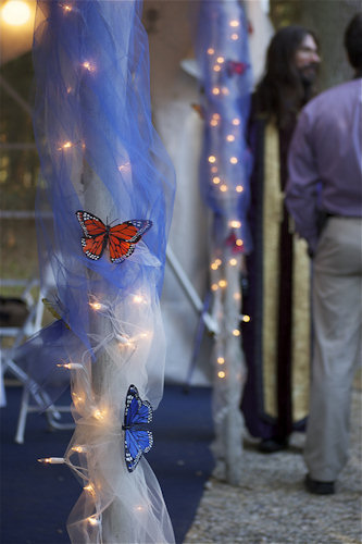 Butterfly Wedding Decorations