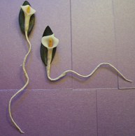 Lilac and Lilies Table Plan - DIY Wedding Craft
