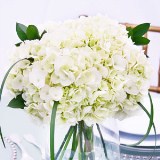 White Hydrangea Wedding Centerpiece
