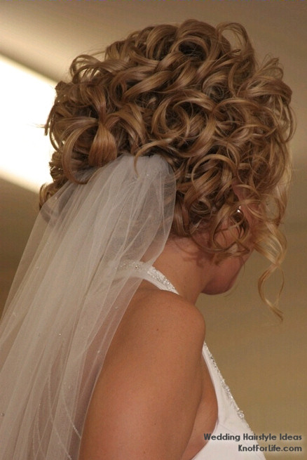 Curly Wedding Hairstyle with Veil