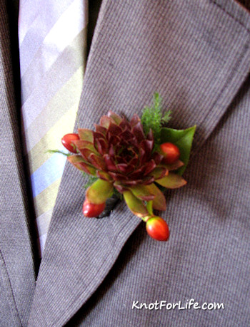 Succulent Boutonnieres for the Groom